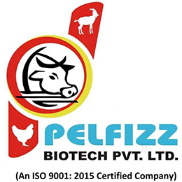 Pelfizz